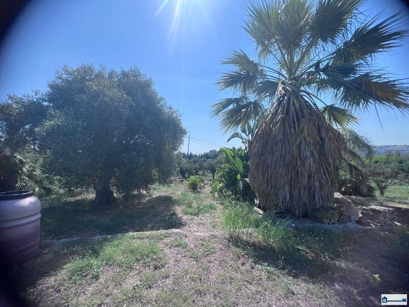 Immagine WhatsApp 2025-07-23 ore 17.39.12_18c846d2.jpg